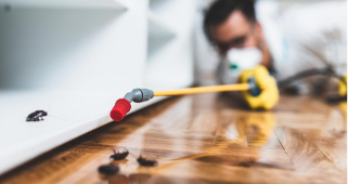 บริการจัดการปลวก