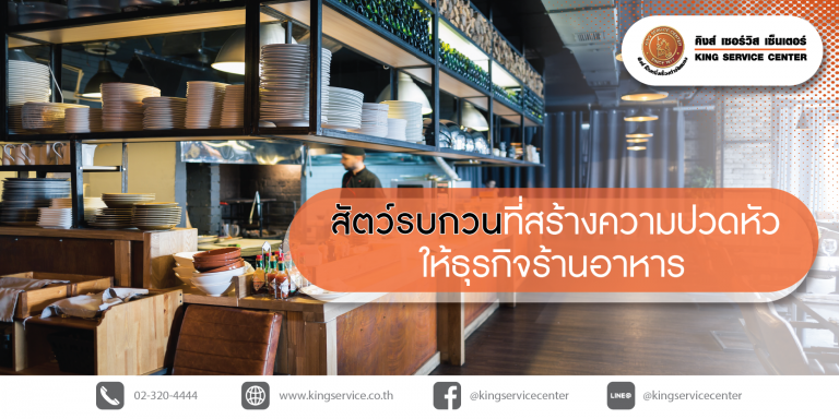 สัตว์รบกวน ที่สร้างความปวดหัวให้ธุรกิจ ร้านอาหาร