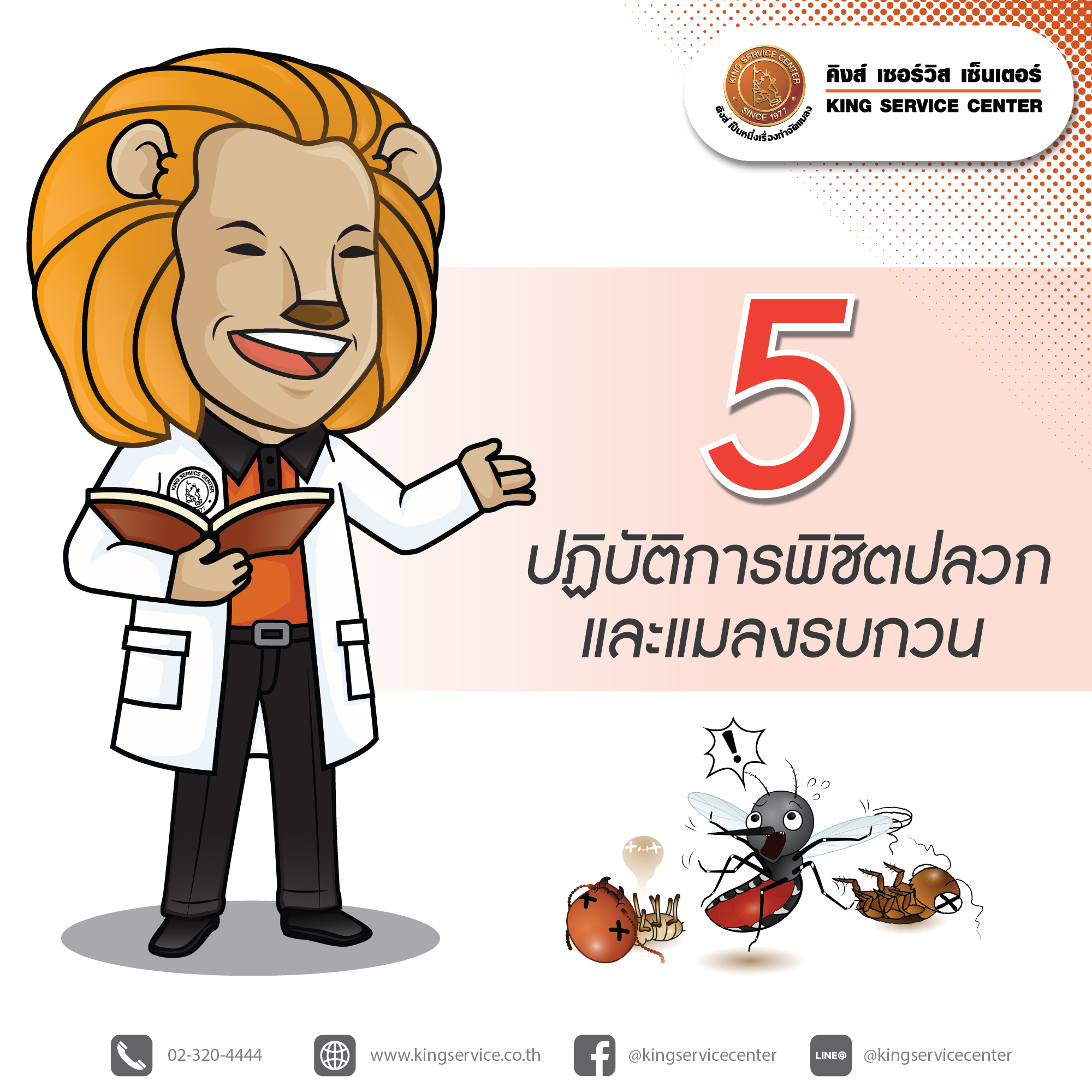 ปฏิบัติการพิชิตปลวกและแมลงรบกวน