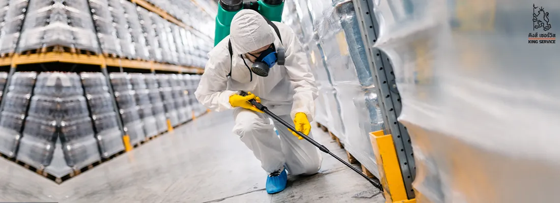 ธีป้องกันและกำจัดหนู