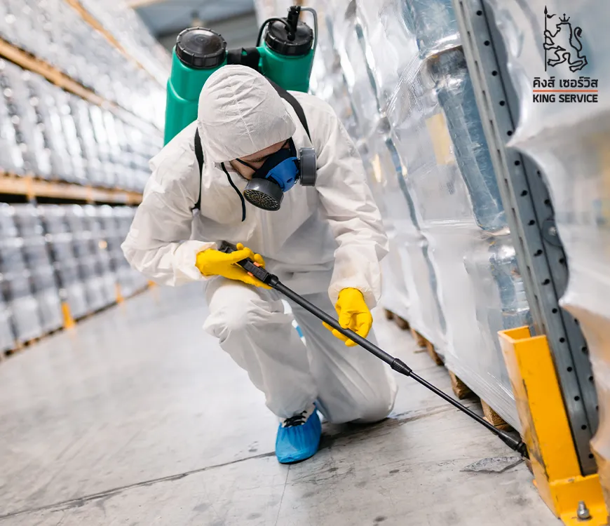 ธีป้องกันและกำจัดหนู