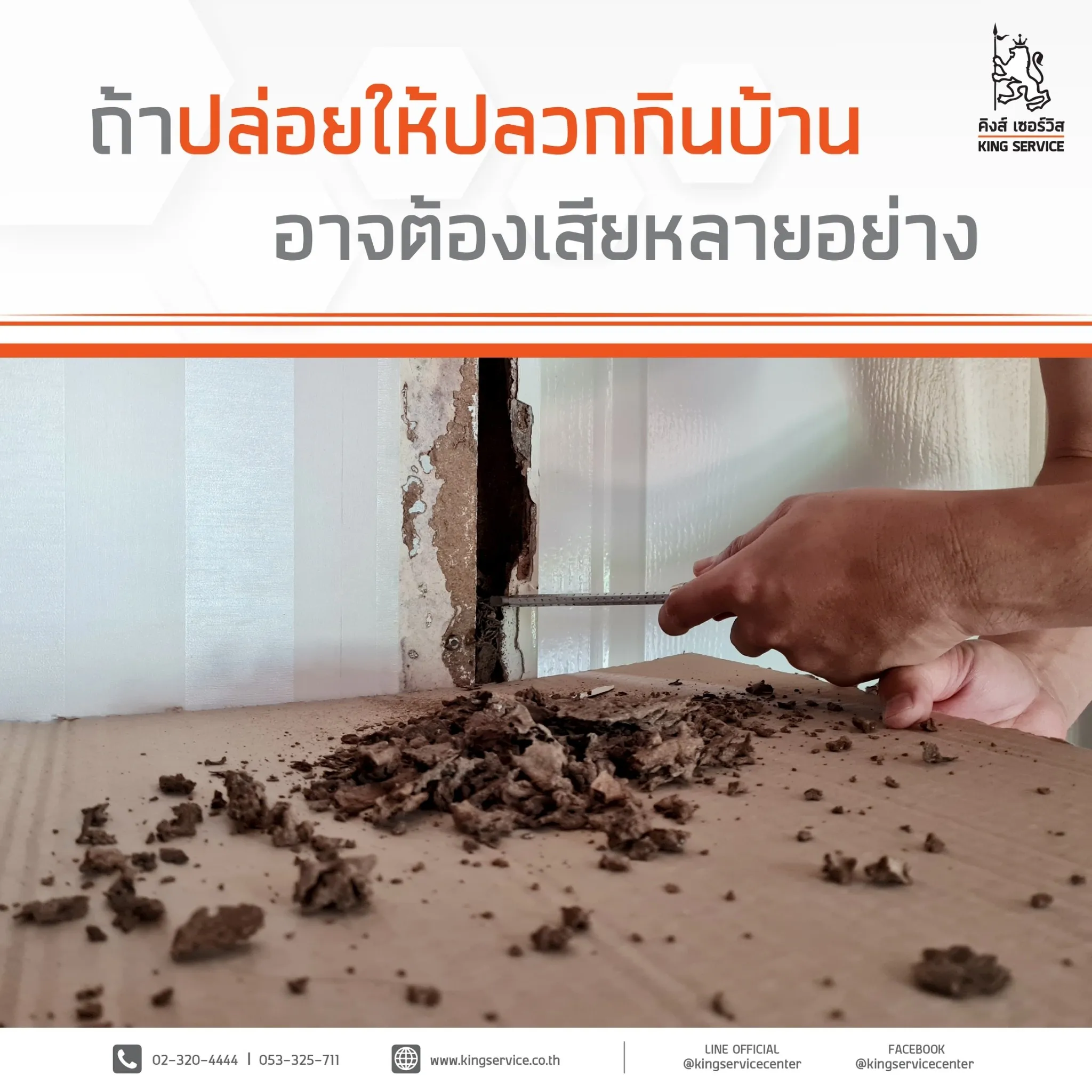 P1 กำจัดปลวกในบ้านต้องทำเมื่อไหร่ รอให้ปลวกขึ้นค่อยทำได้มั้ย