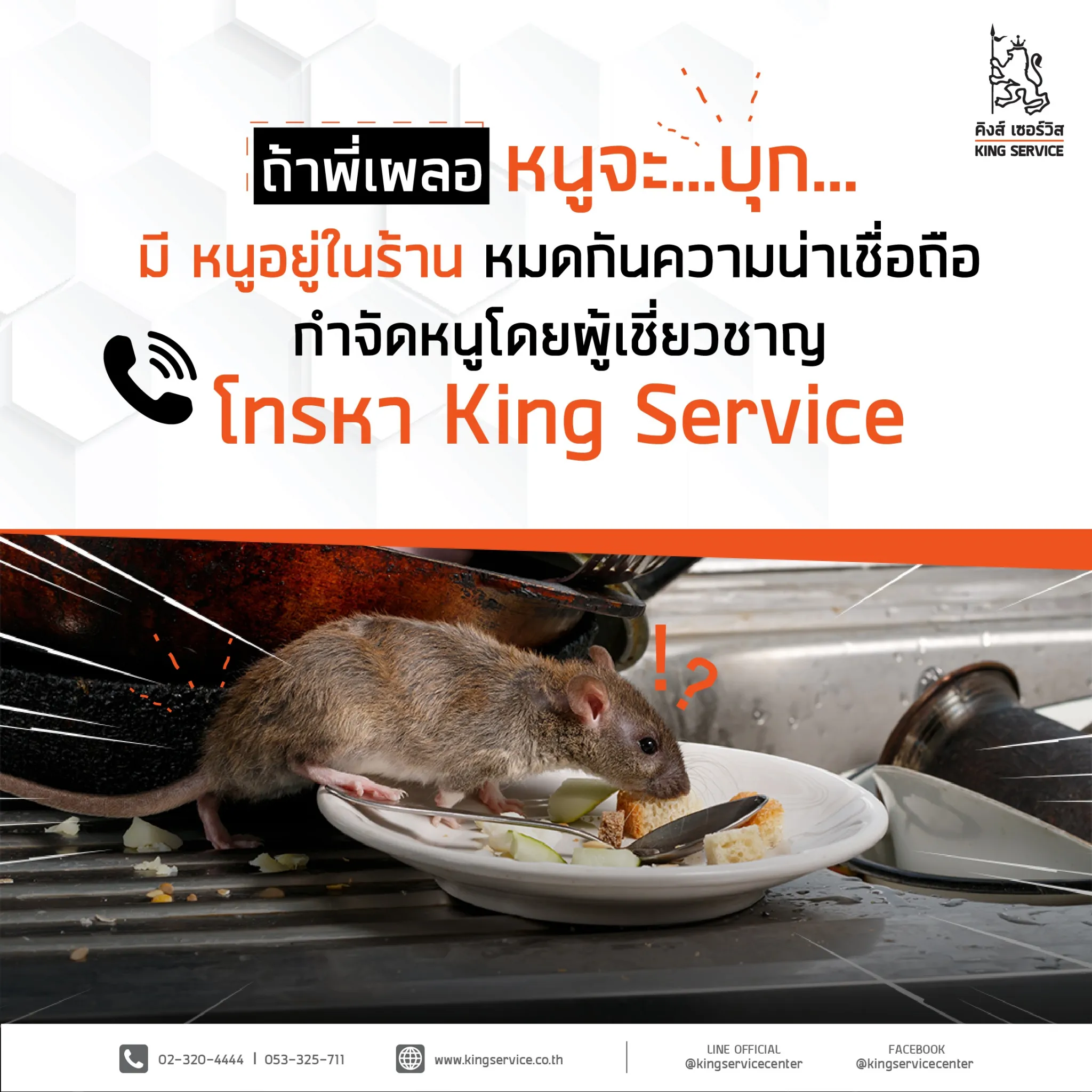 P1 กำจัดหนู