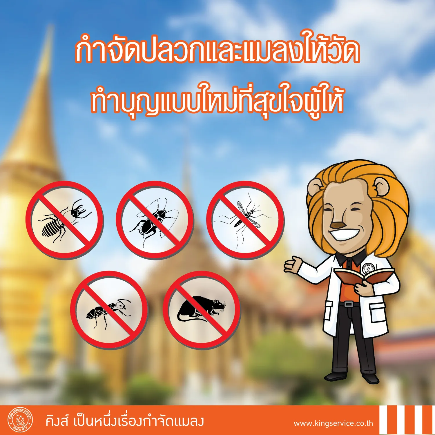 P10 ทำบุญแบบใหม่กำจัดปลวกแมลงให้วัด