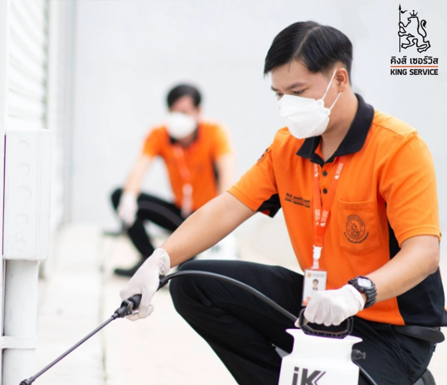 กำจัดปลวกกับ kingservice