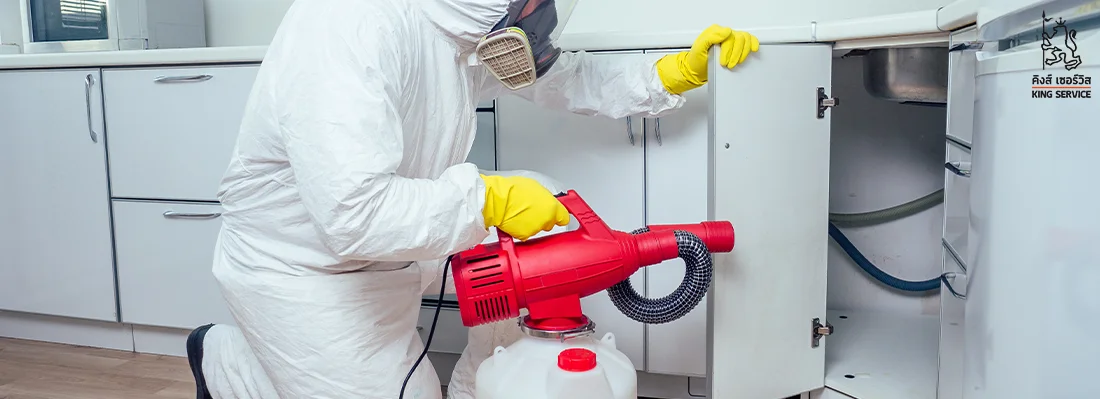 วิธีกำจัดปลวกง่ายๆ