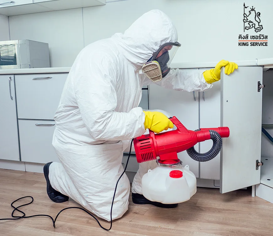 ปลวกขึ้นคอนโด