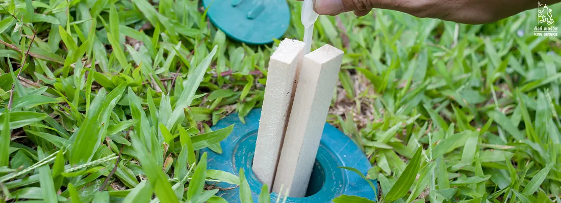 ระบบเหยื่อกำจัดปลวก Exterra