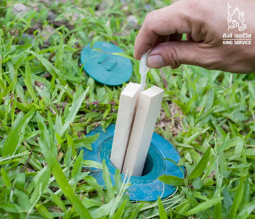 ระบบเหยื่อกำจัดปลวก Exterra