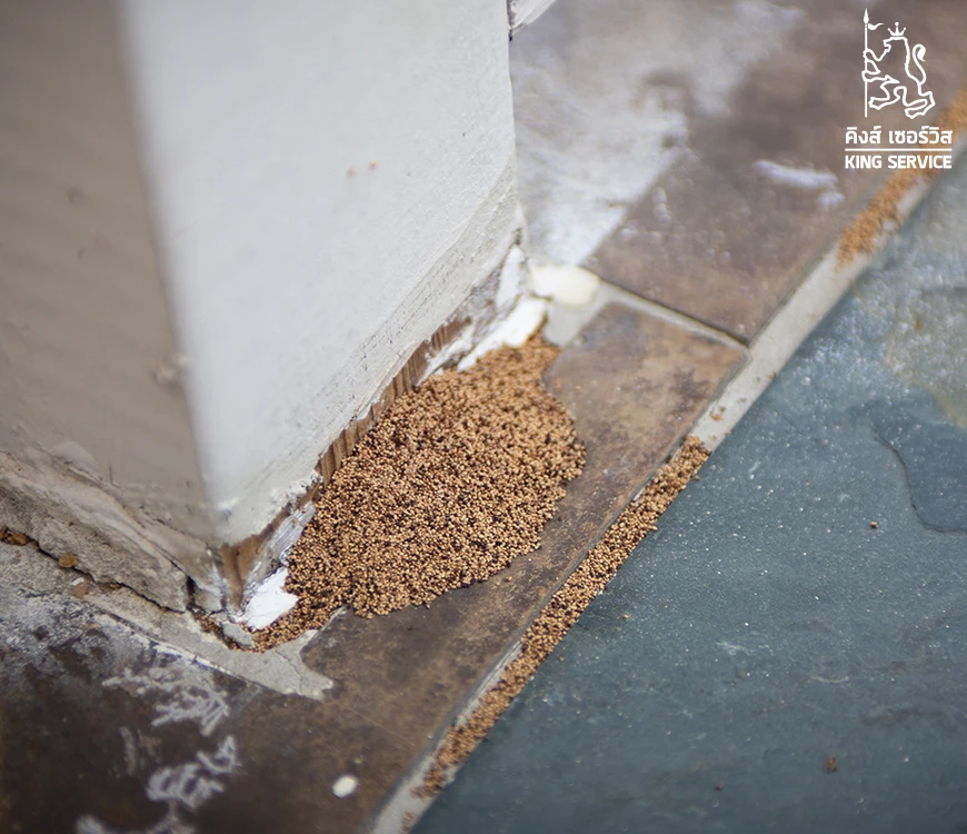 Ksv Blog Cover C2 15