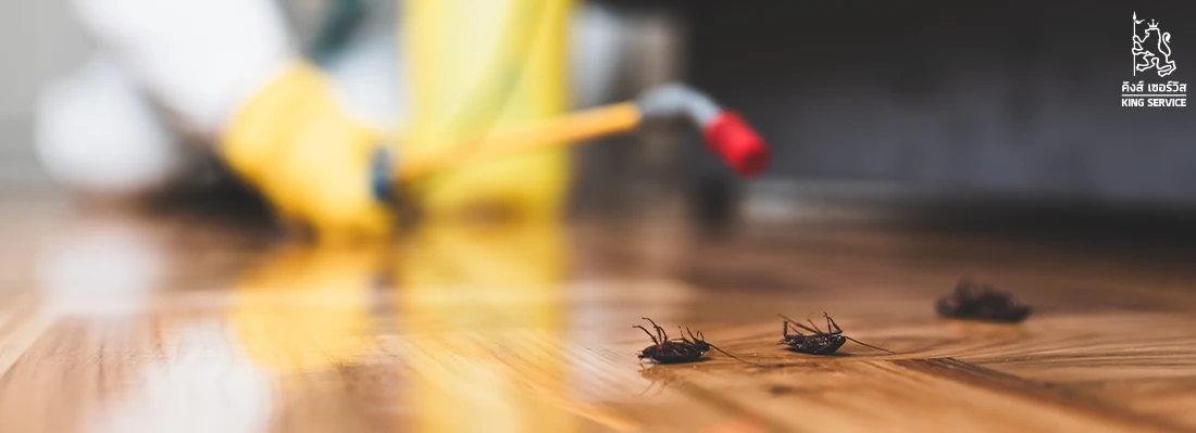 บริษัทกำจัดปลวก kingservice