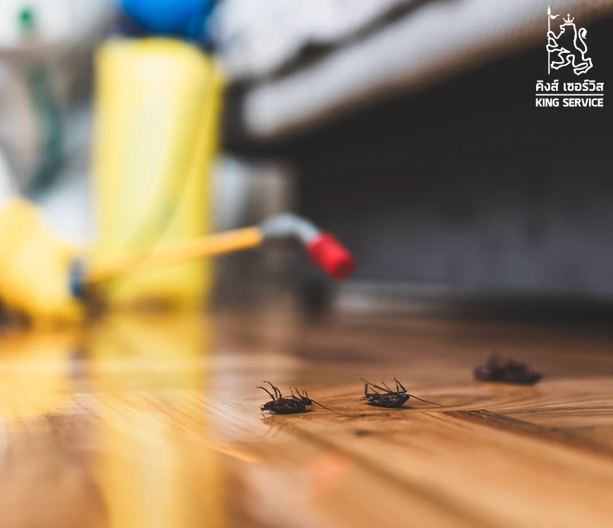 บริษัทกำจัดปลวก kingservice
