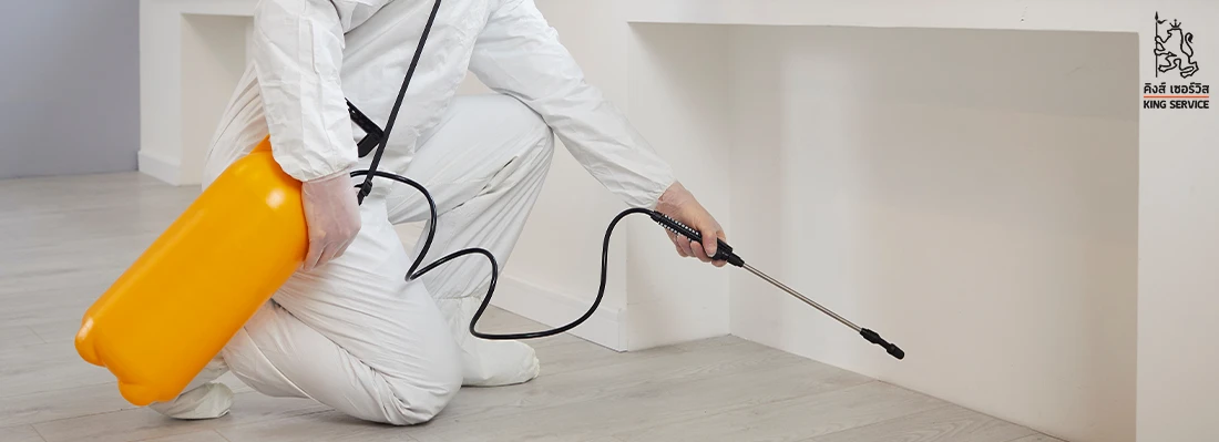 ความสำคัญของการกำจัดหนู