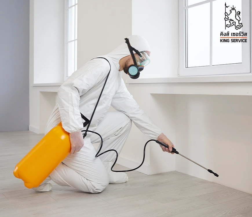 ความสำคัญของการกำจัดหนู