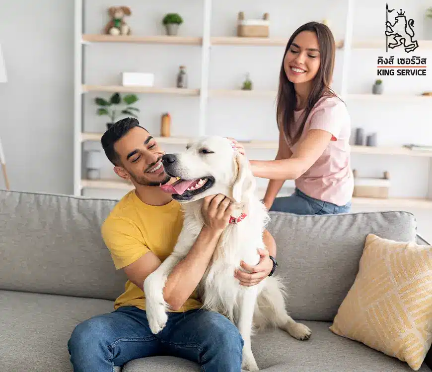 Ksv Blog Cover C3 10